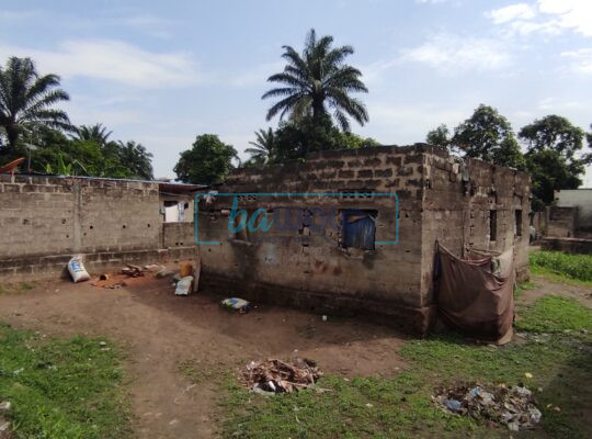 Morcellement d’un terrain à Masina/Petro Congo/Abattoir